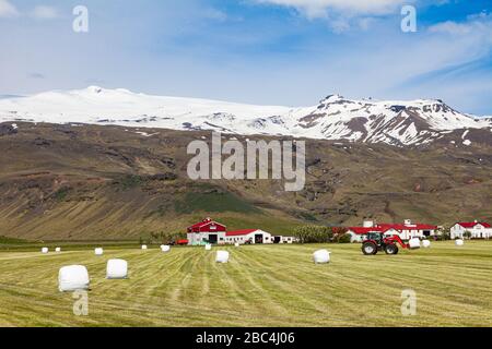 Familienbetrieb unter dem Schatten des Vulkans Eyjafjallajokull, der 2010 ausbrach Stockfoto