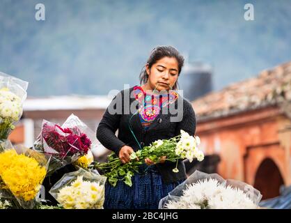 Junge Frau richtet ihren Laden auf dem Blumenmarkt im Freien in Chichicastenango, Guatemala, ein. Stockfoto