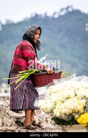 Eine ältere Frau richtet ihren Laden auf dem Blumenmarkt von Chichicastenango, Guatemala, ein. Stockfoto