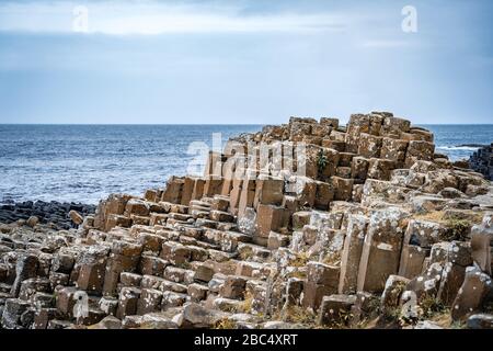 Basaltsteinsäulen Naturformationen am Giant's Causeway, Nordirland Stockfoto