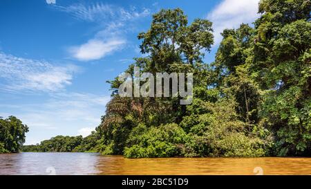 Blick auf einen tropischen Fluss und üppigen Regenwald. Naturkonzept Mittelamerika. Rio Tortuguero, Costa Rica. Stockfoto