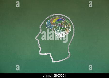 Konzept für menschlichen Kopf und Gehirn, das auf Blackboard Texture abzeichnet Stockfoto