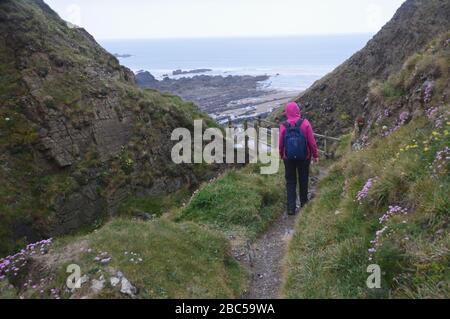 Einreisende Frau Wanderer zu Fuß auf dem Pfad in Richtung hölzerne Fußgängerbrücke an der Stanbury-Mündung auf dem South West Coastal Path, North Cornwall, England, Großbritannien. Stockfoto