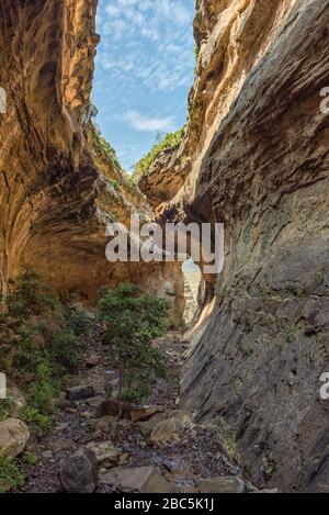 Blick auf Echo Ravine, eine Schlucht aus Sandstein am Golden Gate in der Provinz Free State Stockfoto