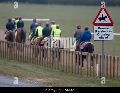 Rennen Sie Pferde auf den Galoppen in Newmarket, Suffolk während der Coronavirus-Sperre aus Stockfoto