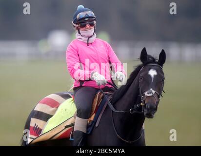 Rennen Sie Pferde auf den Galoppen in Newmarket, Suffolk während der Coronavirus-Sperre aus Stockfoto