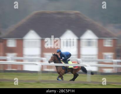 Rennen Sie Pferde auf den Galoppen in Newmarket, Suffolk während der Coronavirus-Sperre aus Stockfoto