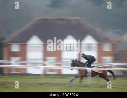 Rennen Sie Pferde auf den Galoppen in Newmarket, Suffolk während der Coronavirus-Sperre aus Stockfoto