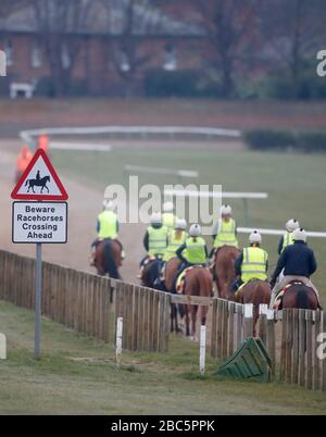 Rennen Sie Pferde auf den Galoppen in Newmarket, Suffolk während der Coronavirus-Sperre aus Stockfoto