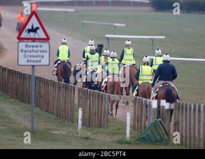 Rennen Sie Pferde auf den Galoppen in Newmarket, Suffolk während der Coronavirus-Sperre aus Stockfoto