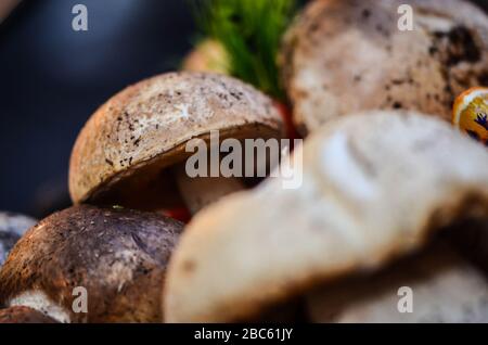Frische Pilze aus der Nähe auf dem italienischen Markt Stockfoto