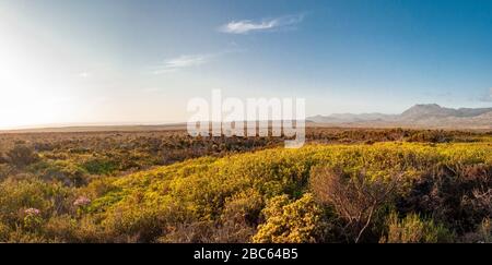 Südafrika, Westkaper, Table Mountain National Park, das Kap der guten Hoffnung Stockfoto