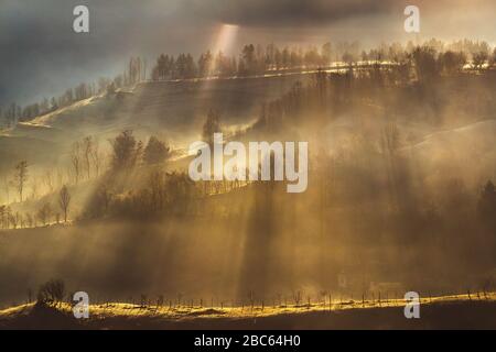 Sonnenaufgang über der schönen ländlichen Landschaft, Sonnenlicht durch Nebel von Bäumen gefiltert Stockfoto