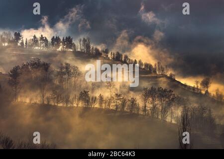 Sonnenaufgang über der schönen ländlichen Landschaft, Sonnenlicht durch Nebel von Bäumen gefiltert Stockfoto