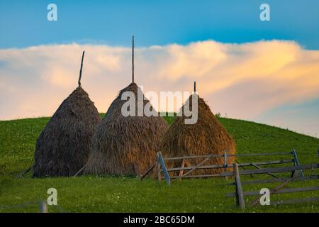 Haystack Landschaft im ländlichen Raum in Rumänien Stockfoto