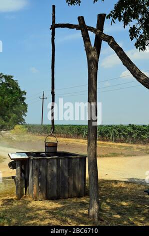 Österreich, alte Traditionskolben und Weinberge im burgenländischen Stockfoto