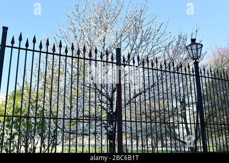 Wien, Österreich. April 2020. Bereits die dritte Woche der Ausreisebeschränkungen in Österreich. Geschlossene öffentliche Parks in Wien. Kredit: Franz Perc/Alamy Live News Stockfoto