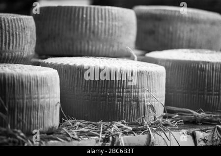 Mix aus handwerklichem Käse aus der Nähe Stockfoto