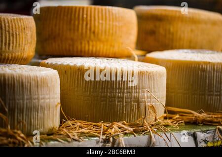 Mix aus handwerklichem Käse aus der Nähe Stockfoto