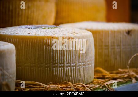 Mix aus handwerklichem Käse aus der Nähe Stockfoto