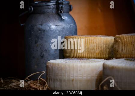 Mix aus handwerklichem Käse aus der Nähe Stockfoto