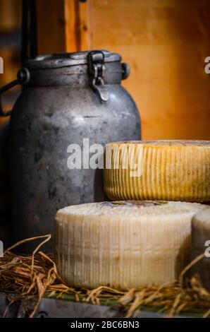 Mix aus handwerklichem Käse aus der Nähe Stockfoto