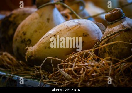 Mix aus handwerklichem Käse aus der Nähe Stockfoto