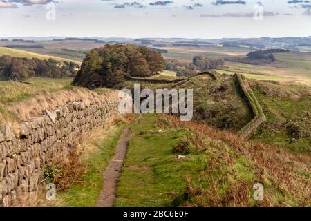 Blick entlang eines Strangs des Hadrianswalls Stockfoto