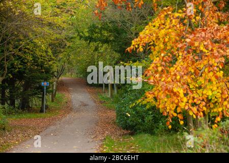 Der Fife Coastal Path zwischen Aberdour und Dalgety Bay, Fife, Schottland Stockfoto