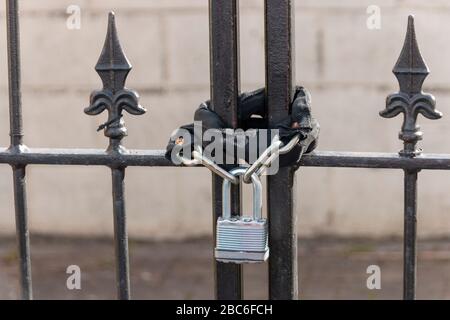 Nahansicht eines Vorhängeschloss und einer Kette, die um ein Tor gewickelt sind, um die Sicherheit zu erhöhen Stockfoto