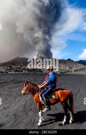 Ein Mann auf dem Horseback Riding am Meer des Sandes mit einem ausbrechenden Mount Bromo in der Hinterrunde, Bromo Tengger Semeru National Park, Java, Indonesien. Stockfoto