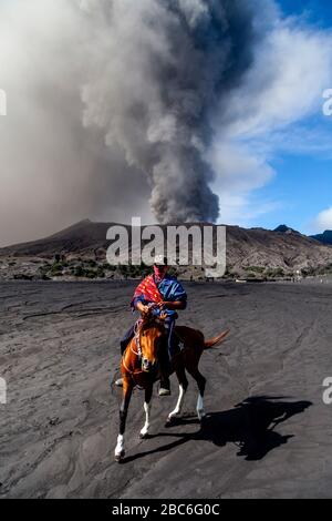 Ein Mann auf dem Horseback Riding am Meer des Sandes mit einem ausbrechenden Mount Bromo in der Hinterrunde, Bromo Tengger Semeru National Park, Java, Indonesien. Stockfoto