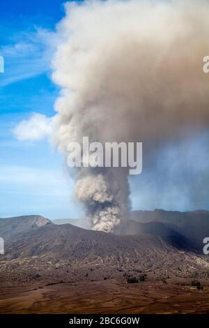 Ein erhöhter Blick auf den Berg Bromo (ausbrechend) und das Meer des Sandes, Bromo Tengger Semeru Nationalpark, Java, Indonesien. Stockfoto