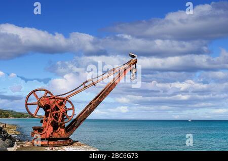 Old Rusty Crane und Pelican Stockfoto