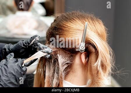 Hände des Friseursalons in schwarzen Handschuhen, die Haare der Frau färben. Färben von Haaren. Stockfoto