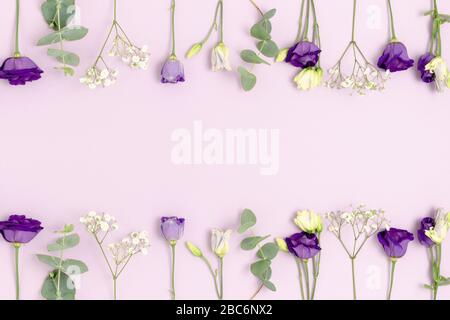 Rahmen aus Eustom, Gypsophila Blumen und Eukalyptus mit Kopierraum. Blumenkonzept im violetten Pastell-Hintergrund. Stockfoto