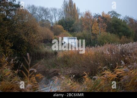 Berkeley bat House IJP Architects Wetland Centre, Queen Elizabeth's Walk, Barnes, Richmond, London, SW13 9WT Stockfoto