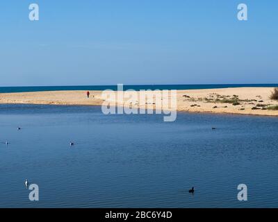 Lagoa dos Salgados, ein Biotop zwischen Armacaou de Pera und Albufeira an der Küste der Algarve in Portugal Stockfoto