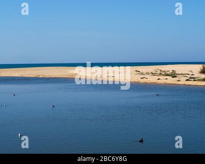 Lagoa dos Salgados, ein Biotop zwischen Armacaou de Pera und Albufeira an der Küste der Algarve in Portugal Stockfoto