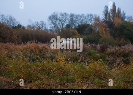 Berkeley bat House IJP Architects Wetland Centre, Queen Elizabeth's Walk, Barnes, Richmond, London, SW13 9WT Stockfoto