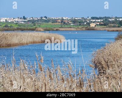 Lagoa dos Salgados, ein Biotop zwischen Armacaou de Pera und Albufeira an der Küste der Algarve in Portugal Stockfoto