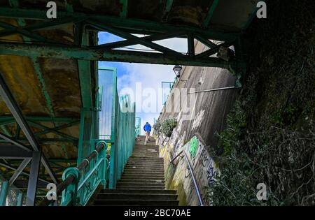 Brighton UK 3. April 2020 - EIN Wanderer und Hund an der Küste von Brighton am 11. Tag der Regierungsblockierung in Großbritannien während der Coronavirus COVID-19-Pandemie-Krise. Kredit: Simon Dack / Alamy Live News Stockfoto