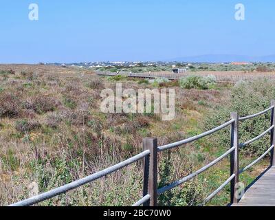 Lagoa dos Salgados, ein Biotop zwischen Armacaou de Pera und Albufeira an der Küste der Algarve in Portugal Stockfoto