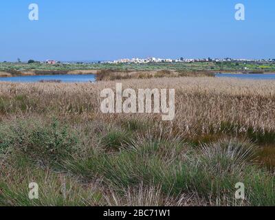 Lagoa dos Salgados, ein Biotop zwischen Armacaou de Pera und Albufeira an der Küste der Algarve in Portugal Stockfoto