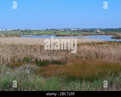 Lagoa dos Salgados, ein Biotop zwischen Armacaou de Pera und Albufeira an der Küste der Algarve in Portugal Stockfoto