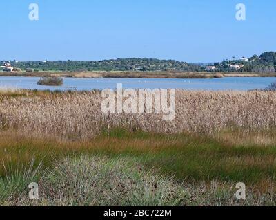 Lagoa dos Salgados, ein Biotop zwischen Armacaou de Pera und Albufeira an der Küste der Algarve in Portugal Stockfoto