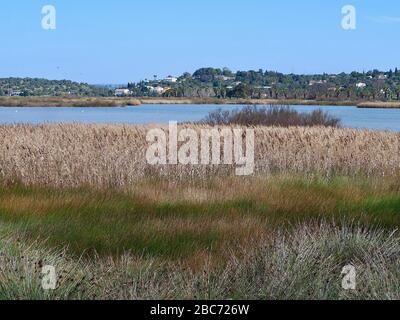 Lagoa dos Salgados, ein Biotop zwischen Armacaou de Pera und Albufeira an der Küste der Algarve in Portugal Stockfoto