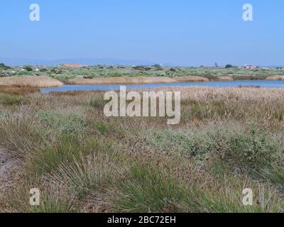 Lagoa dos Salgados, ein Biotop zwischen Armacaou de Pera und Albufeira an der Küste der Algarve in Portugal Stockfoto