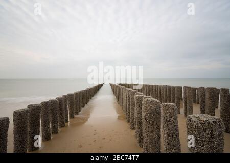 Groynes (Buhnen) - Stangen, die Stück für Stück ins Meer laufen, um den Strand zu schützen. Blick auf den trüb blauen Himmel am Horizont. niederlande in Stockfoto