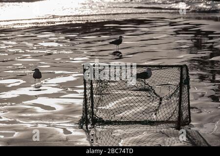 Altes beschädigtes Fußballtor am Strand. Hinterleuchtung. Stockfoto